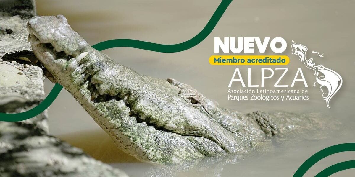 Acreditación Alpza