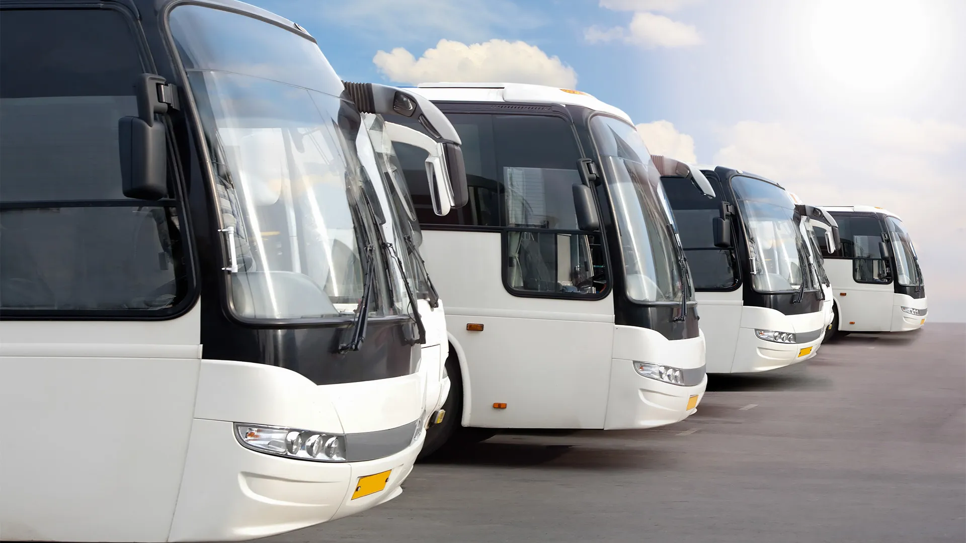 Varios buses parqueados en un parqueadero